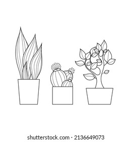 House plants vector art. Cactus, succulent, leafy flower, bonsai black and white illustration.