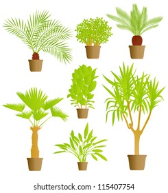 House plants vector background set