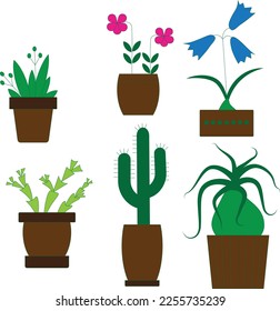 Campana de flores de cactus vectoriales de plantas de la casa