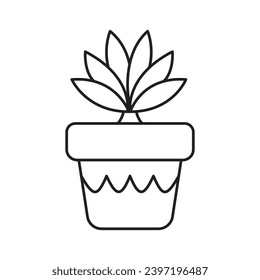 House Plants Vector Collection 4