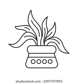 House Plants Vector Collection 8