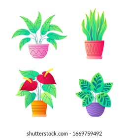 House plants vector collection. Spathiphyllum or Peace lily, Anthurium, Сalathea, Snake plant. Icon set of potted indoor flowers. Botanical vector illustration.