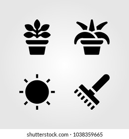 House Plants vector icon set. chlorophytum, ficus, sun and rake