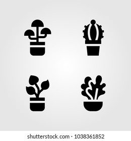 House Plants vector icon set. plant and cactus