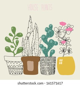 House plants. Vector illustration.