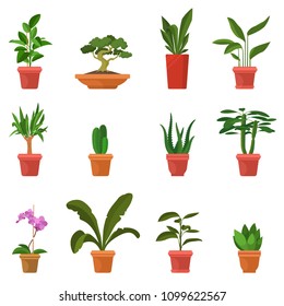 House plants vector illustration. Set of colorful indoor plants in flat cartoon style. Green leaves and inflorescences. Decorative elements for home and garden. Eps 10.