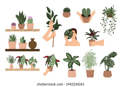 Montaje de ilustraciones vectoriales de plantas domésticas. Plantas interiores clipart, señora de planta, cactus, monstera, succulento, begonia, ficus 