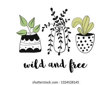 House plants vector print. Concept of cozy house and comfort. Hand drawn  illustration for posters, cards, t-shirts.