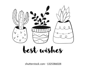 House plants vector print. 
Concept of cozy house and comfort. Hand drawn  illustration for posters, cards, t-shirts.