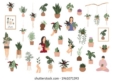 Download Crazy Plant Lady Images Stock Photos Vectors Shutterstock