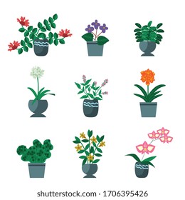 House plants vector simple collection