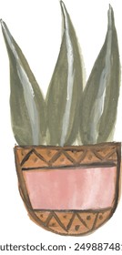 House plants watercolor illustration clipart design