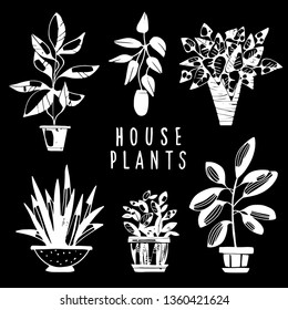 House plants white hand drawn set. Potted flowers isolated on black background. Handwriting font