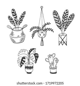 House plants-doodle vector set isolated on white background. Monstera palm, blooming cactus, macrame plant hanger, straw basket, planter. Modern home elements, hygge style, scandinavian interior.