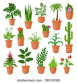 House pot plants. Green indoor house plants for home and office decoration, tropical flat nature. Vector flat style cartoon illustration isolated on white background