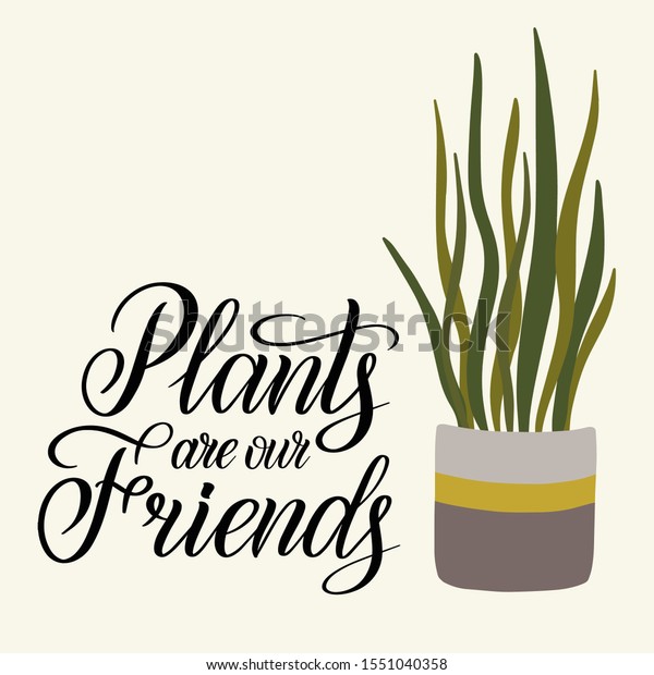 House Potted Plant Calligraphy Quote Plants Stock Vector ...