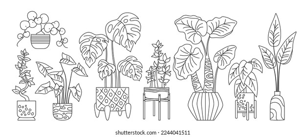 Planta de macetas de la casa, conjunto decorativo de esquema de doodle. Instalaciones exóticas para el interior. Plantas botánicas de floración interior en la olla, cerámica de maceta lineal. Vector de esbozo de selva aislada