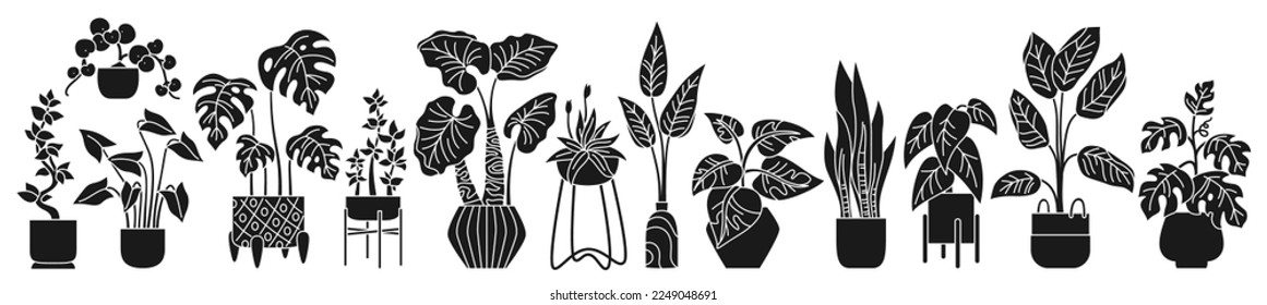 House potted plant, decorative engraving stamp set. Exotic houseplants flowerpot scrapbook print. Botanical house indoor blooming plants in pot, flower monstera, potted ceramic. Isolated jungle vector