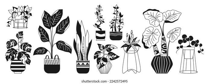 House potted plant, trendy glyph linear set. Exotic houseplants flowerpot for interior. Botanical flower house indoor blooming plants in pot, potted ceramic. Urban jungle decor doodle vector