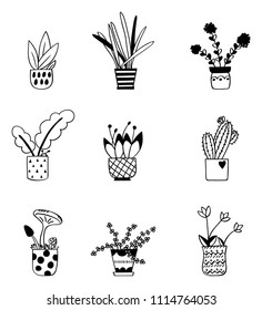 House Potted Plants, Cactus, Flower, Black & White Outline freehand, Mushroom, Decorative, Tulips,, Leafs Illustration, Tropical, Insect, Bug, Heart, Cute, Home, Nature, Botanical, Blossom, Flowerpot