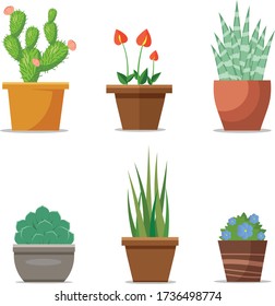 Imagen vectorial de macetas de la casa, diseño plano.
