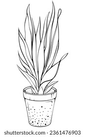 Schlangenpflanze mit langen Blättern in einem Topf. Vektorgrafiken in handgezeichnet Skizze-Doodle-Stil einzeln auf Weiß. Anlagen für den Büroinneren, Hausbetrieb. Dracaena Sansevieria auf einem Planeten