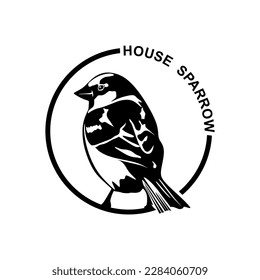 House sparrow circle logo design. Bird symbol in minimal style. House sparrow bird sign isolated on white background. Vector illustration