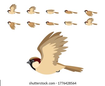 House Sparrow Flying Animation Cute Cartoon Vector Illustration