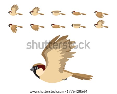 Similar – Image, Stock Photo sparrow in frame of wooden pallet. Black and white photo