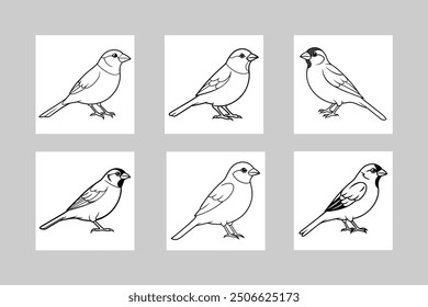 House Sparrow Line Art Illustration for Graphic Design set.