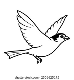 House Sparrow Line Art Illustration for Graphic Design set.