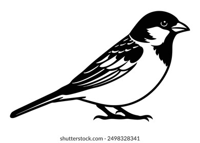 House Sparrow Silhouette Charming Bird Art