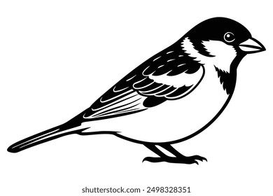 House Sparrow Silhouette Charming Bird Art