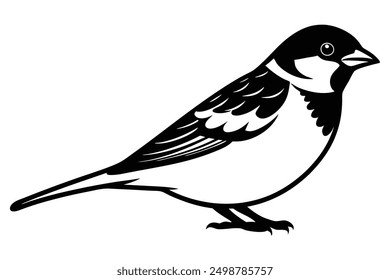 House Sparrow Silhouette Charming Bird Art