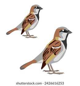 House sparrow vector flat isolated on white background