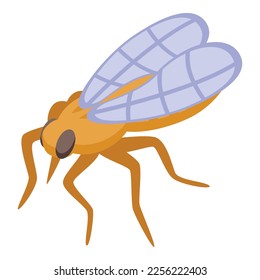 Icono de prueba de casa vector isométrico. Insulto de vuelo. Biología de las plagas