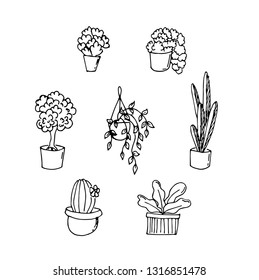 housee plants floral doodle hand draw set.