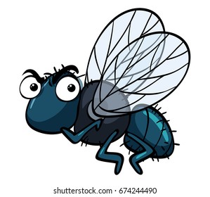Housefly with angry face illustration
