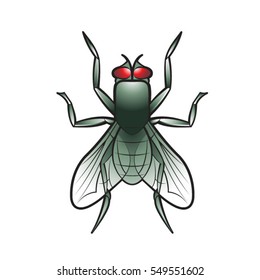 housefly in color-vector drawing