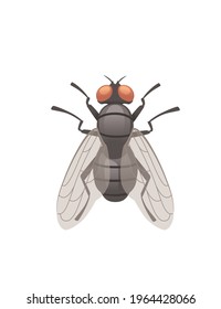 Housefly flying insect cartoon fly design vector illustration on white background top view