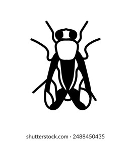 Housefly Glyph Icon, Vector illustration