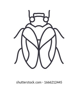 housefly icon over white background, line detail style, vector illustration