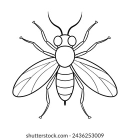 Housefly illustration coloring page for kids