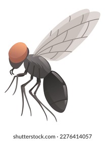 Icono de insecto de mosca doméstica. Símbolo de vida silvestre al estilo de las caricaturas. Un insecto asustado. Elemento de diseño gráfico. Ilustración vectorial de color de cierre de entomología aislada en fondo blanco