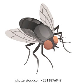 Housefly insect icon. Wildlife symbol in cartoon style. Scary insect. Graphic design element. Entomology closeup color vector illustration isolated on white background