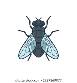 Housefly insect vector icon in flat top view style