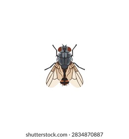 Housefly insect vector illustration isolated on white background, detailed pest graphic design.