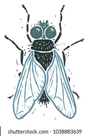 Housefly linocut linocut illustration, draw, ink, vector