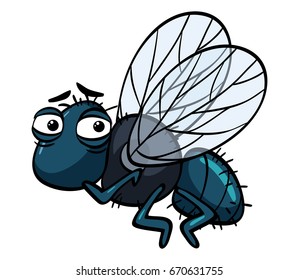 Housefly with sad face illustration