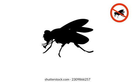 housefly silhouette, high quality vector